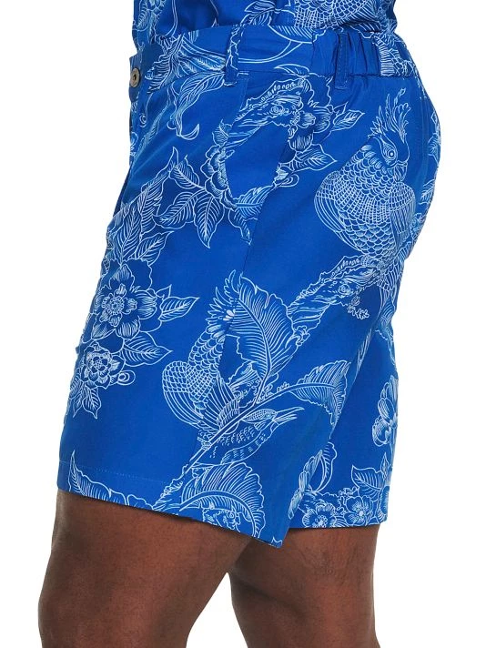 Robert Graham Beach To Bar Shorts For Men 5 Robert Graham Beach To Bar Shorts For Men - Image 3
