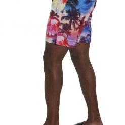 Robert Graham Beach Haven Swim Shorts For Men -Outlet Robert Graham Store unnamed file 842