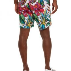 Robert Graham Pina Colada Beach To Bar Shorts For Men -Outlet Robert Graham Store unnamed file 947
